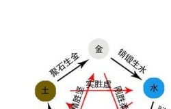 五行属性查询表有哪些