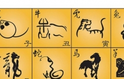 12时辰顺序详解