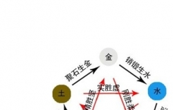 五行属性查询应注意什么