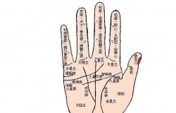 男人断掌手相图解有哪些
