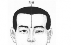 印堂在哪呢