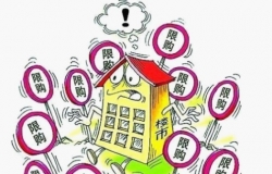 2016武汉限购政策