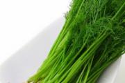 新鲜茴香怎么保存 新鲜茴香怎么吃