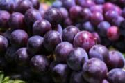 高考前吃什么水果好 6种水果缓解紧张压力