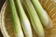 茭白小孩子能吃吗 小孩吃茭白有什么好处