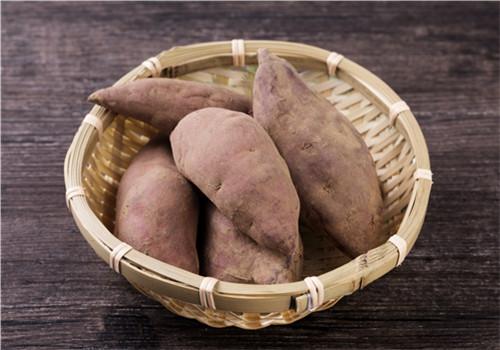 红薯