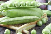 刚怀孕可以吃豌豆吗 孕妇吃豌豆有什么好处