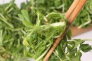 学生瘦脸吃什么最有效 4种食物帮你打造瓜子脸