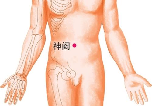 神阙穴