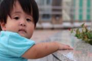 宝宝吞了山竹核怎么办 山竹的核咽下去有什么危害