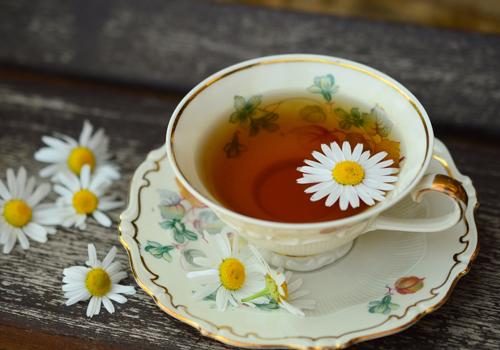 蜂蜜菊花茶