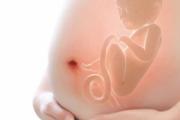 孕妇可以喝新鲜椰子吗 椰子有什么食用功效