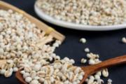 薏米吃了可以减肥吗 薏米和什么一起吃减肥