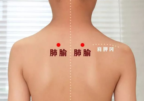 揉肺俞：150次