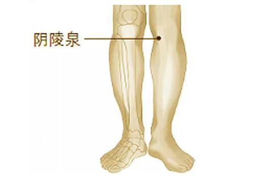 阴陵泉