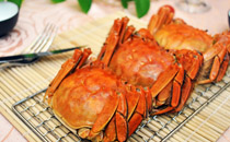 为什么秋天要吃螃蟹 秋天吃螃蟹好不好