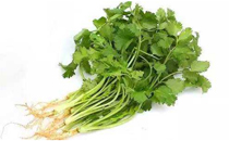 香菜可以治感冒吗 香菜怎么吃治感冒