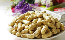 慢性胃炎能吃花生吗 慢性胃炎怎么吃花生好