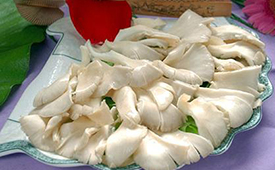 平菇可以和鸡蛋一起做汤吗 平菇和木耳能一起吃吗