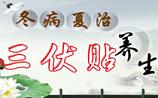 2017三伏贴要贴几次 每次都是什么时间