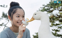 彼得潘综合症怎么治 彼得潘综合症能根治吗