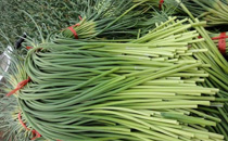 今年蒜苔多少钱一斤 2017蒜薹价格最新行情是涨还是跌