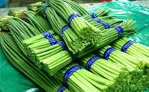 河南多地出现蒜你完 蒜薹价格暴跌最新行情2017