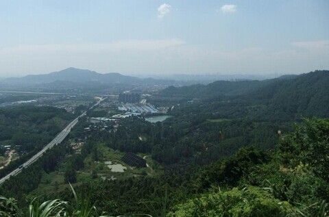 广州龙眼洞森林公园_广州龙眼洞森林公园门票_广州龙眼洞森林公园开放时间