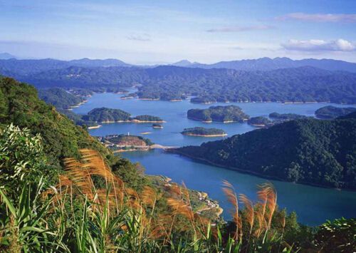 广州黄山鲁森林公园简介_广州黄山鲁森林公园门票价格_广州黄山鲁森林公园交通