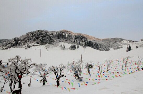 金佛山什么时候下雪_金佛山最佳旅游时间_金佛山什么时候去最好
