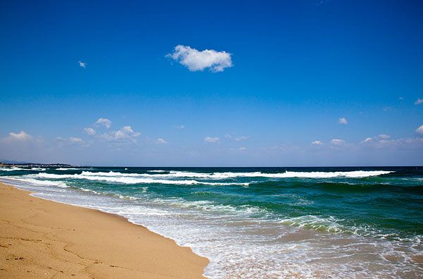 青岛石老人海水浴场附近酒店_青岛石老人海水浴场附近美食_青岛石老人海水浴场附近吃饭的地方