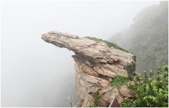 青岛连云港旅游_青岛连云港旅游介绍_青岛连云港旅游特色
