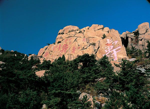 青岛 旅游 报名_青岛旅游团_青岛旅行社_青岛旅行团