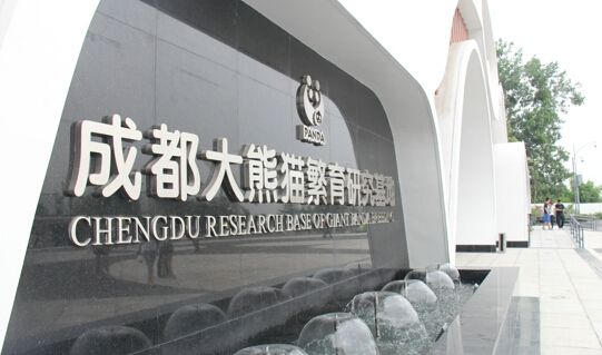 成都大熊猫基地旅游门票_成都大熊猫基地旅游好玩吗_成都大熊猫基地旅游简介