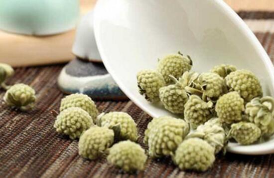 绿萝花茶可以长期喝吗,绿萝花茶的功效和作用