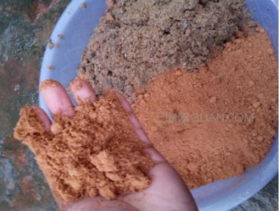 茶花烂根怎么办,茶花烂根的处理方法